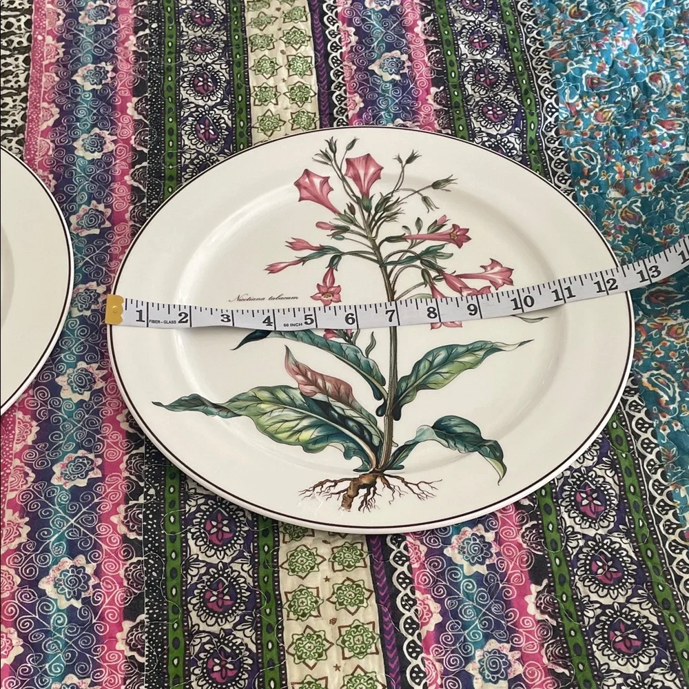 2 villory & Boch Pink Floral Dinner Plates